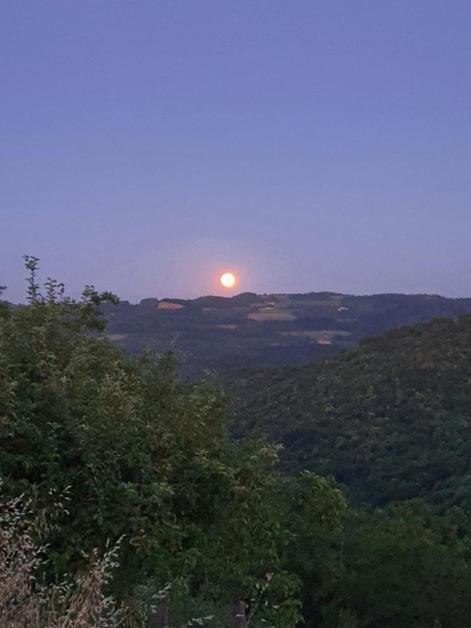 Cascina Brichat Alta Langa Bed and Breakfast Serravalle delle Langhe Eksteriør billede