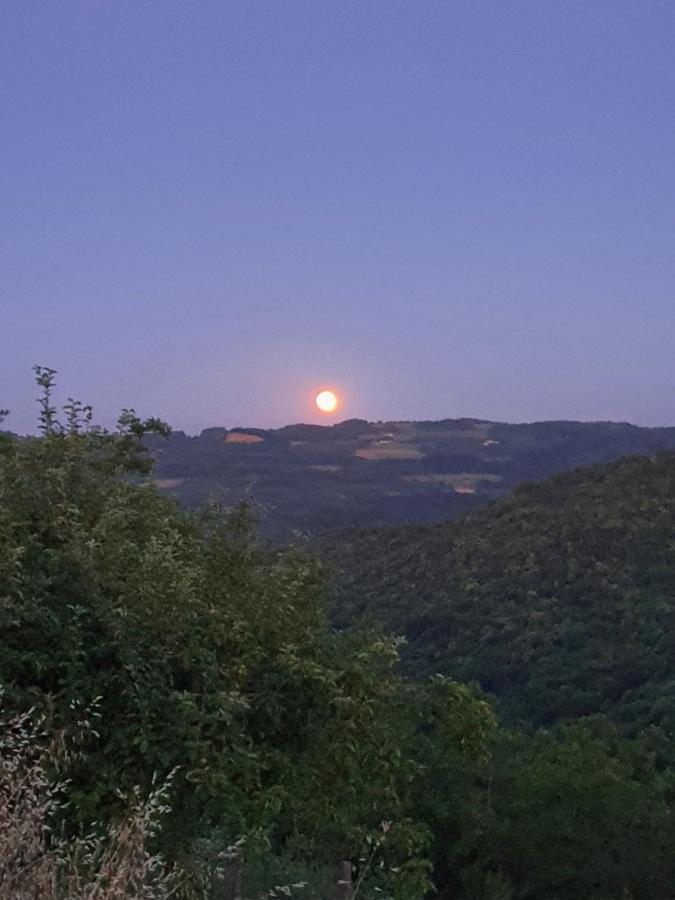 Cascina Brichat Alta Langa Serravalle delle Langhe Eksteriør billede